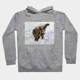 Fluffy cat Hoodie